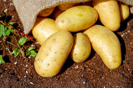 Czy i jak stosować Halvetic na ziemniaki?